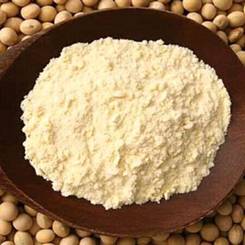 Isolated soy protein